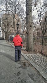 Rear view of man walking on snow covered bare tree