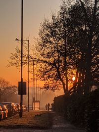 Silhouette trees against sky during sunset