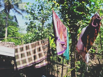 Low angle view of clothes drying against plants