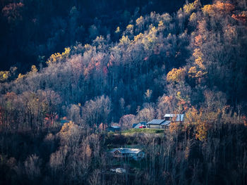 High angle view of trees in forest during autumn