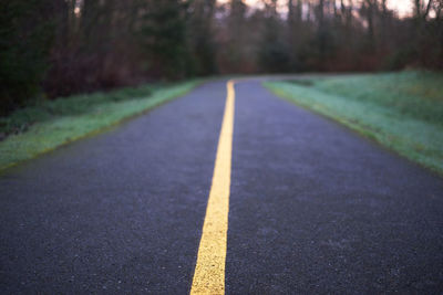 Empty road along trees