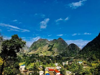 Trees and plants growing on mountain against blue sky