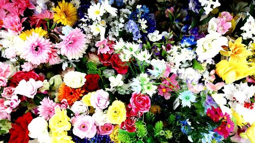 High angle view of multi colored flowers blooming outdoors