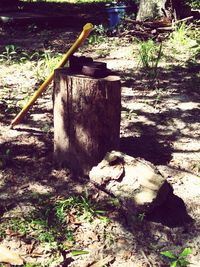 Shadow of cat on grass