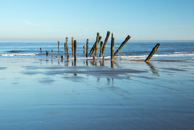 Wooden posts on beach against sky