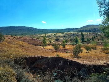 View of landscape against blue sky