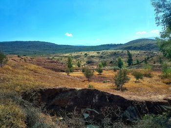 View of landscape against blue sky