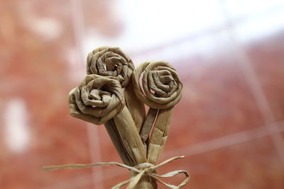 Close-up of rusty chain against blurred background