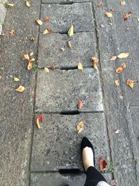 Low section of person standing on autumn leaves