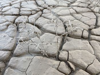 Full frame shot of rocks