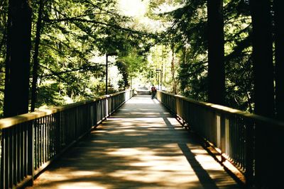 Footpath leading to wooden walkway