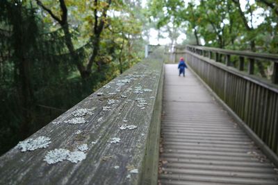 People walking on footbridge