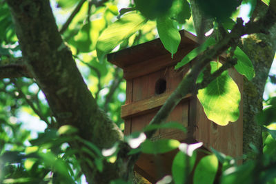 Low angle view of birdhouse on tree