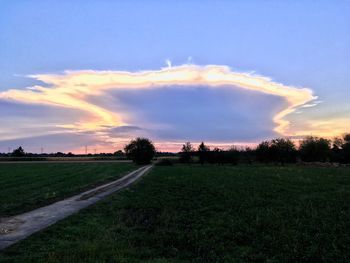 Road passing through field