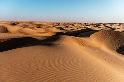 Oman desert