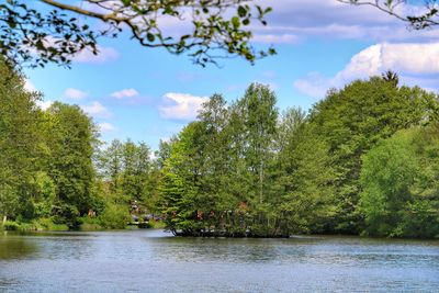 Scenic view of river amidst trees against sky