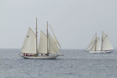 Sailboats in sea against clear sky