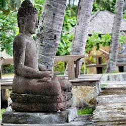Close-up of statue