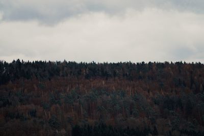 Scenic view of landscape against cloudy sky