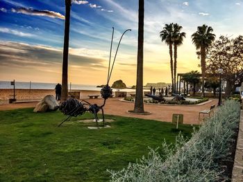 Palm trees at seaside