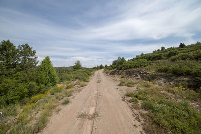 Dirt road along trees and plants against sky