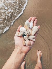 Low section of person holding hands on sand