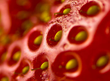 Full frame shot of ice cream