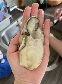 Close-up of hand holding ice cream