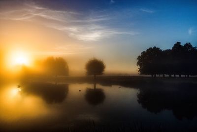 Silhouette of trees at sunset