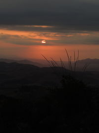 Close-up of silhouette plant against sky at sunset