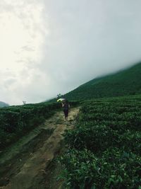 Rear view of woman walking on trail against sky