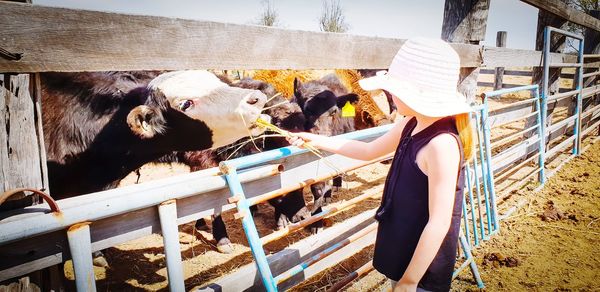 Side view of girl feeding cow 