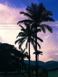 Low angle view of trees against cloudy sky