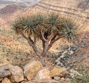 Rock formations in desert