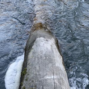 High angle view of icicles on rock