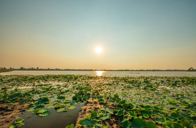 Scenic view of sea against clear sky during sunset