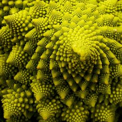 Full frame shot of green leaves