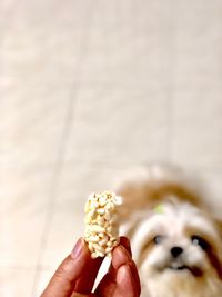 Close-up of hand holding ice cream