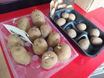 Close-up of food on table