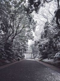 Street amidst bare trees during winter