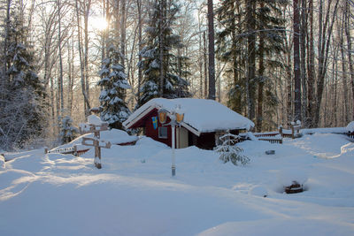 Snow covered field and trees in forest