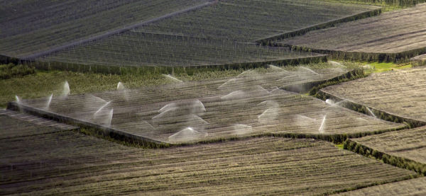 High angle view of agricultural field