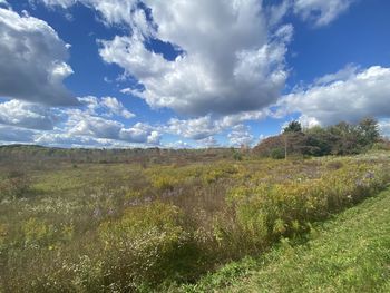 Scenic view of landscape against sky