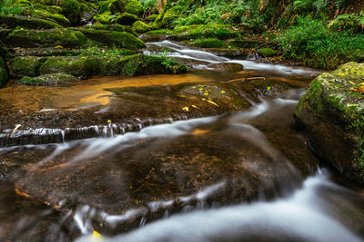 Stream flowing through rocks in forest