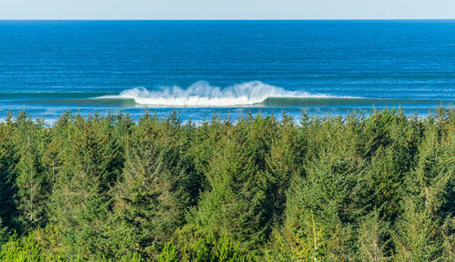 Scenic view of sea against clear sky