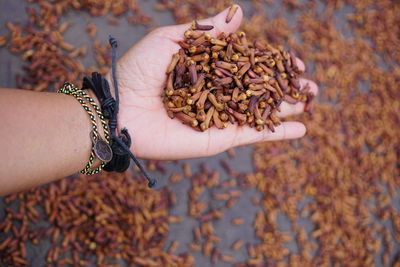 Cropped hand of woman holding cloves