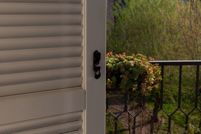 Closed door of flowering plants