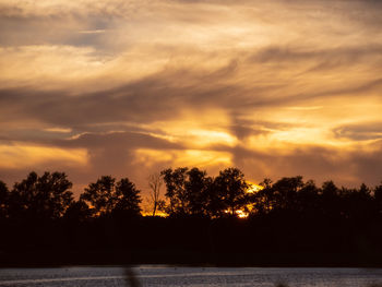 Silhouette trees against orange sky during sunset