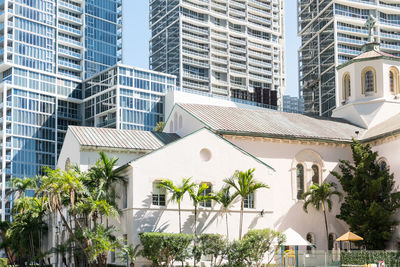 Walking among the skyscrapers in downtown miami during a sunny day