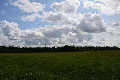 Scenic view of field against sky